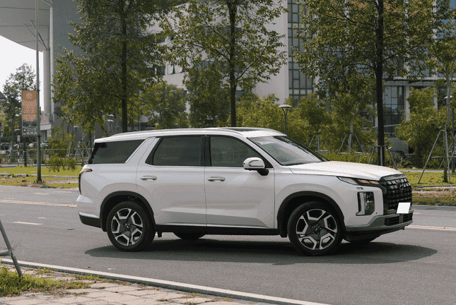 palisade 2 1308 3777