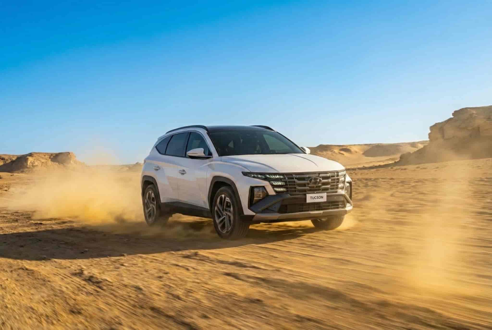 611747773 1361428779361750 3044081486852370590 n