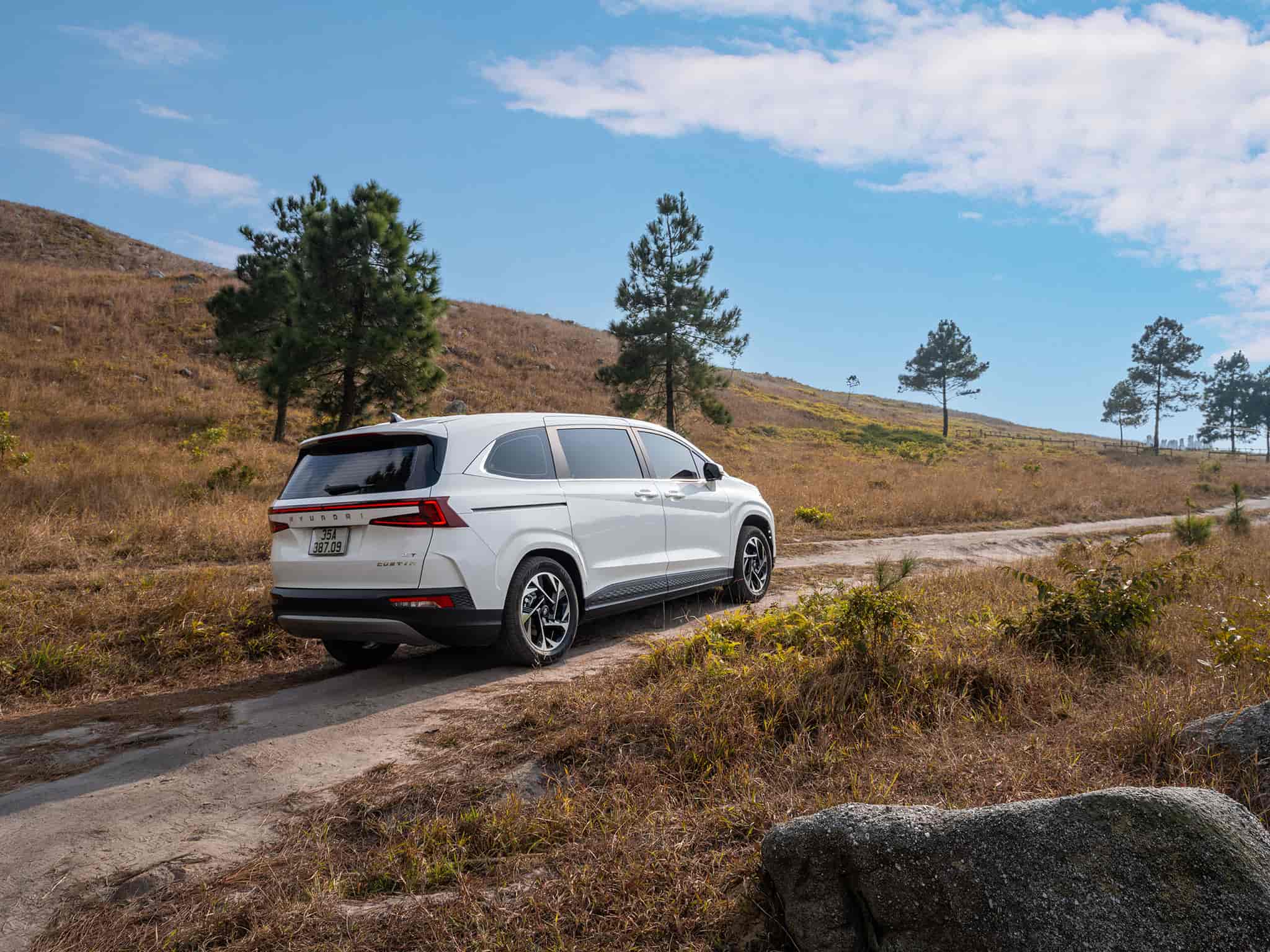 561359007 1276301517874477 8618724598802255657 n